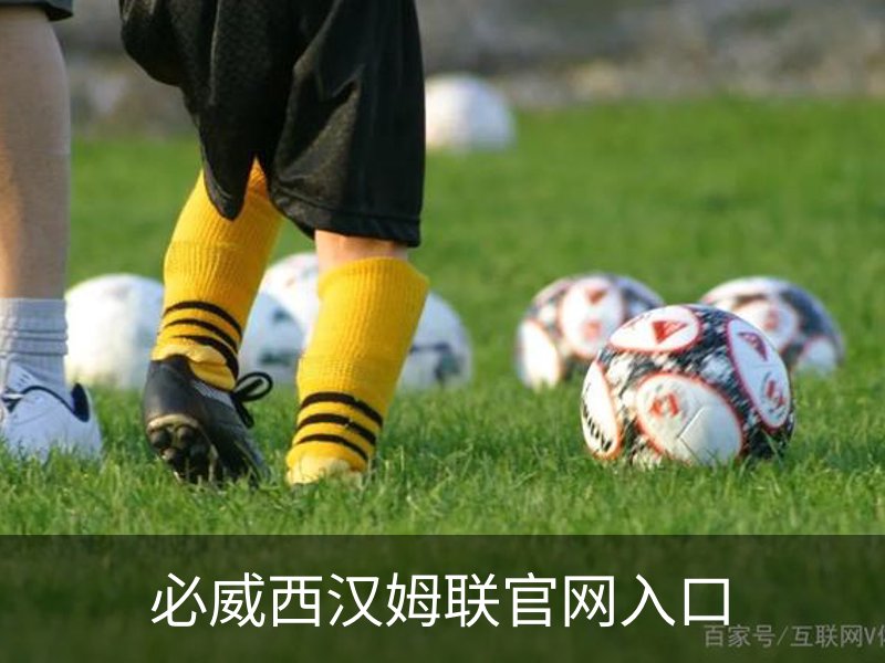 了解必威西汉姆联官网入口